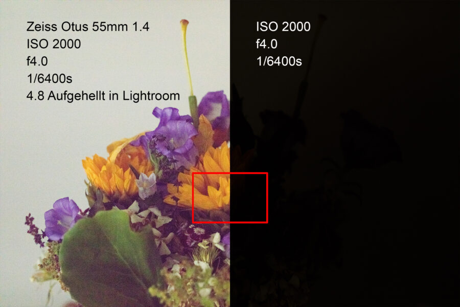 Canon 5DS/R ISO 2000, f4.0, 1/6400s Zeiss Otus 55mm f.14 Um 4.8 Blenden in Lightroom aufgehellt