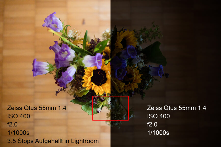 Canon 5DS/R ISO 400, f2.0, 1/1000s Zeiss Otus 55mm f.14 Um 3.5 Blenden in Lightroom aufgehellt
